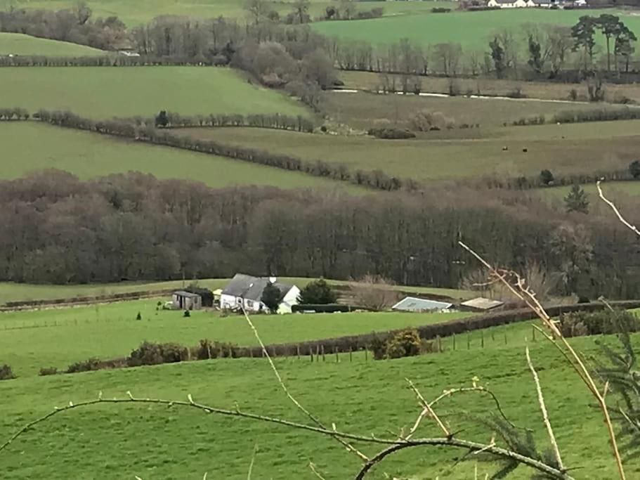 Stunning Shepherds Hut Rural Bliss Dumfries Buitenkant foto