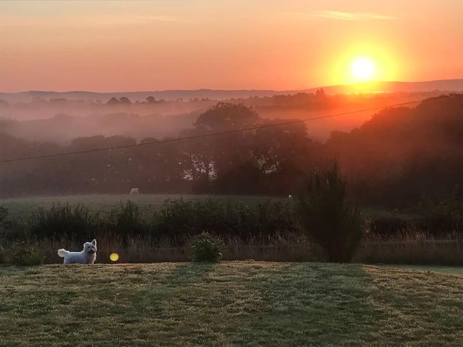 Stunning Shepherds Hut Rural Bliss Dumfries Buitenkant foto